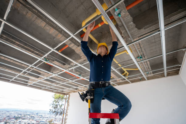 Best Residential Plumbing Services  in Reinholds, PA