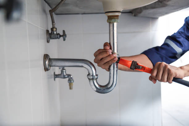 Best Clogged Drain Plumber  in Reinholds, PA