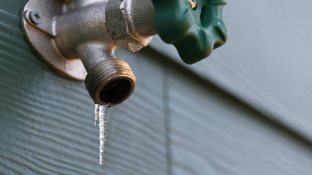 Best Affordable Plumber Near Me  in Reinholds, PA